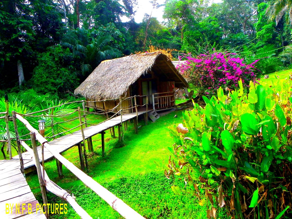 Centre touristique de Nkolandom